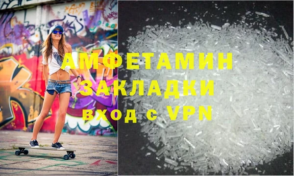 прущие грибы Пересвет