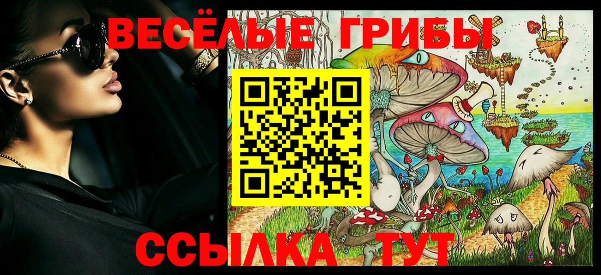 Галлюциногенные грибы Psilocybine cubensis Миасс